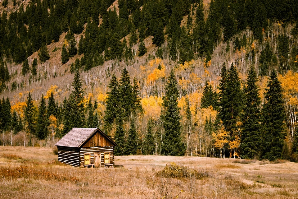 A log cabin in a wooded setting during the autumn season