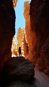 Sun is shining in the early morning. Bryce Canyon National Park