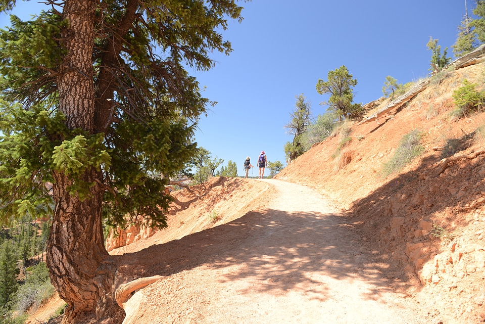 Sun is shining in the early morning. Bryce Canyon National Park