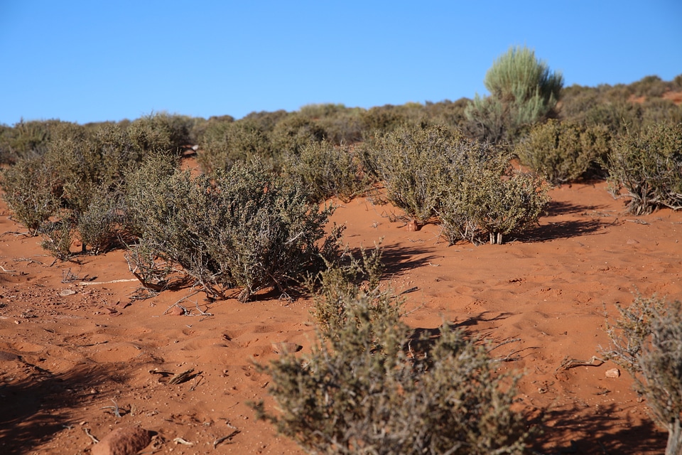 Horseshoe Bend Hike Road in Glen Canyon