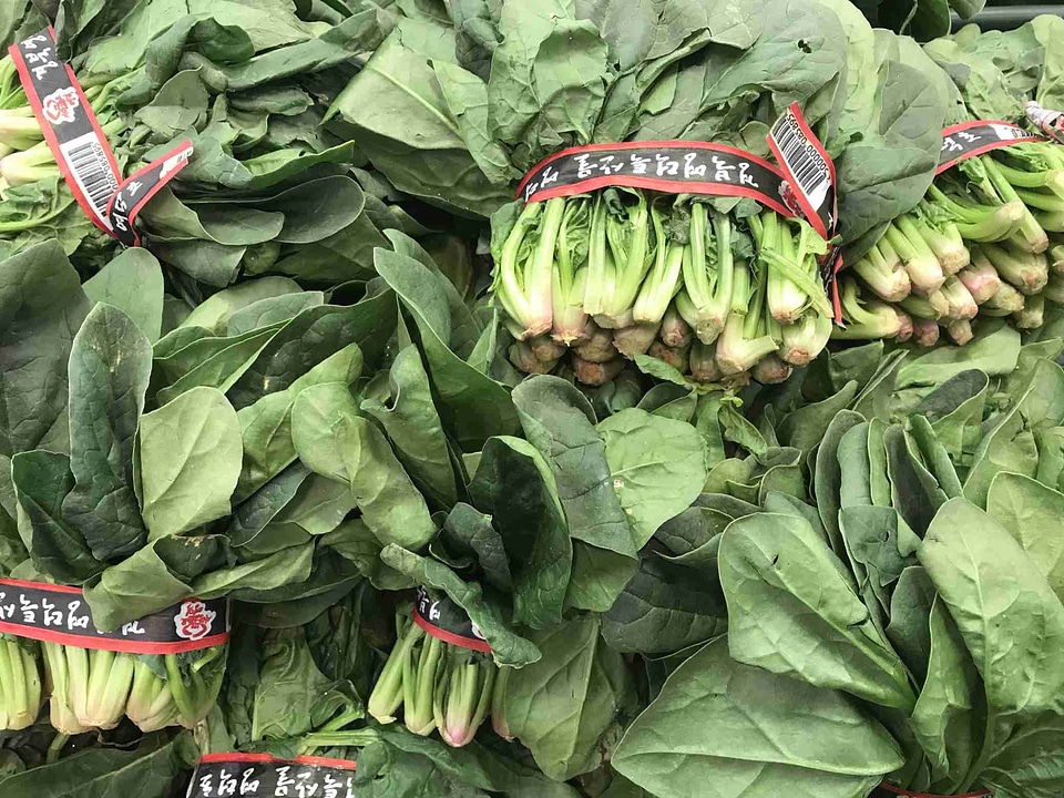 Fresh organic green spinach