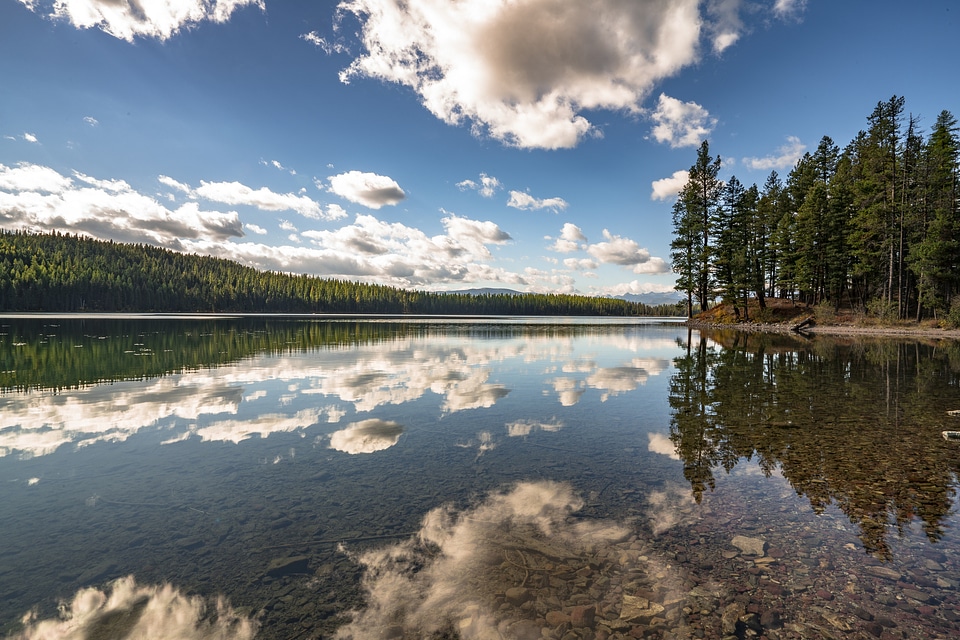 Flathead National Forest in Montana