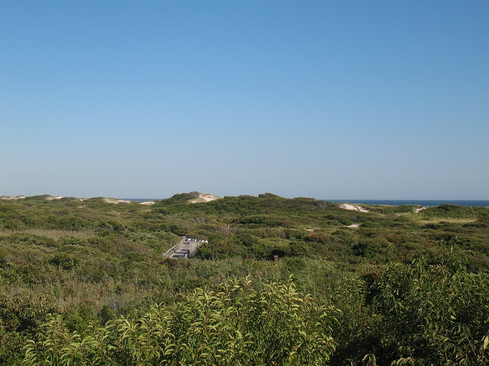 Fire Island National Seashore