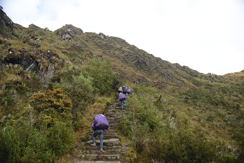 Inca porters to carry tourists luggage
