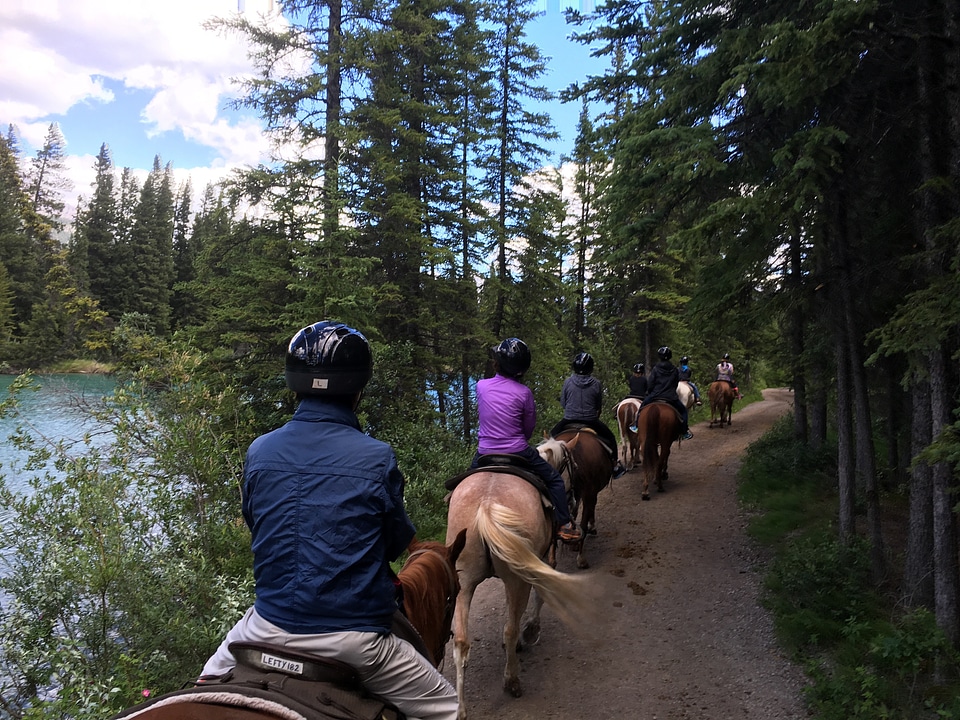 Horse tours near Edith a Annette Lake in Jasper National Park