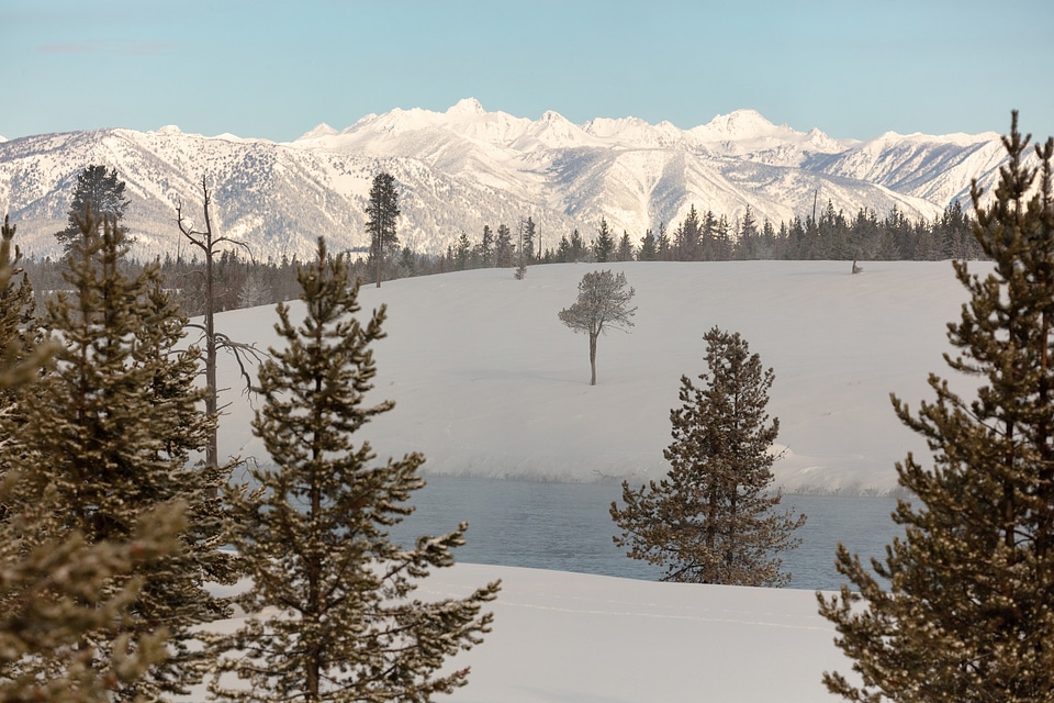 The Madison Range rises above the Madison RIve