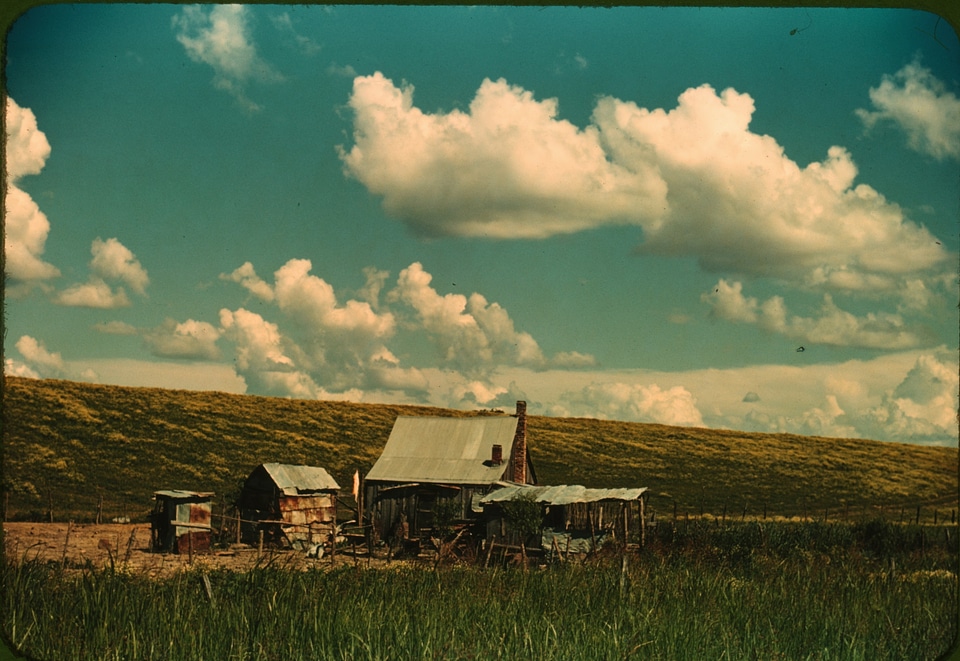 A Black tenant's home beside the Mississippi River