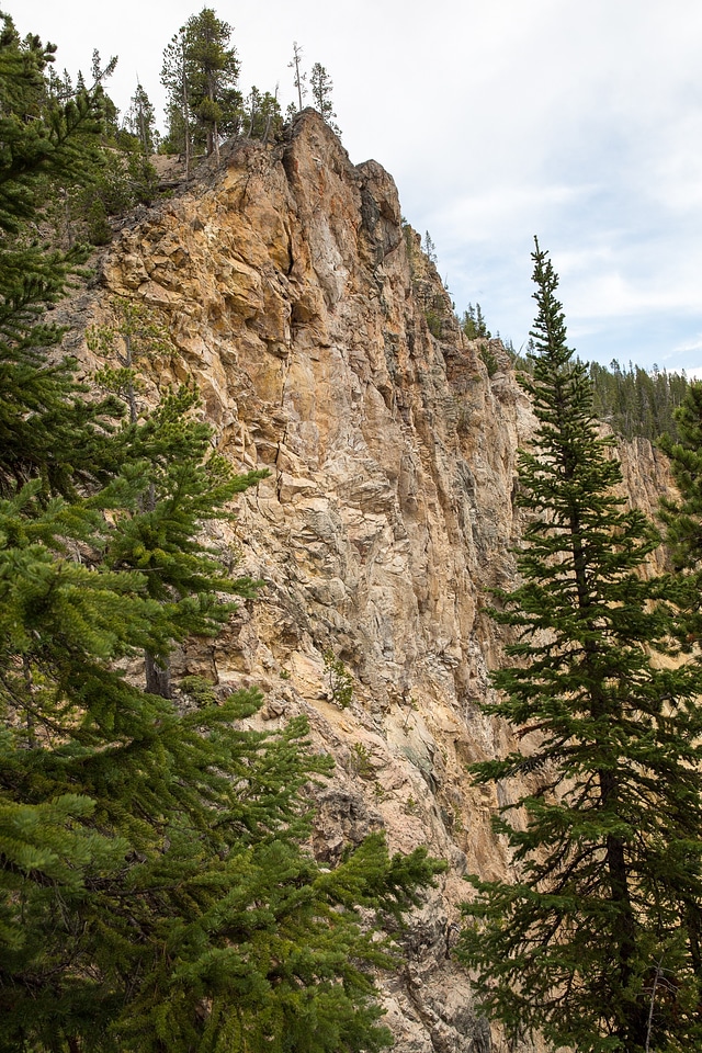 South Rim of the Grand Canyon of the Yellowstone in Yellowstone