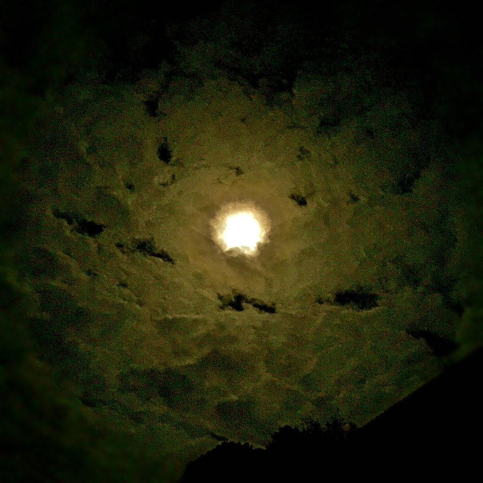 Moon