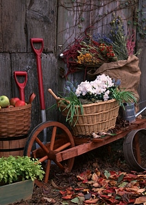 gardening tools outside the potting shed