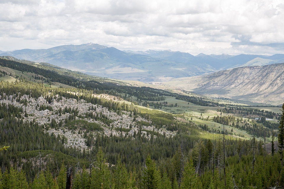 Bunsen Peak Trail. Yellowstone national park