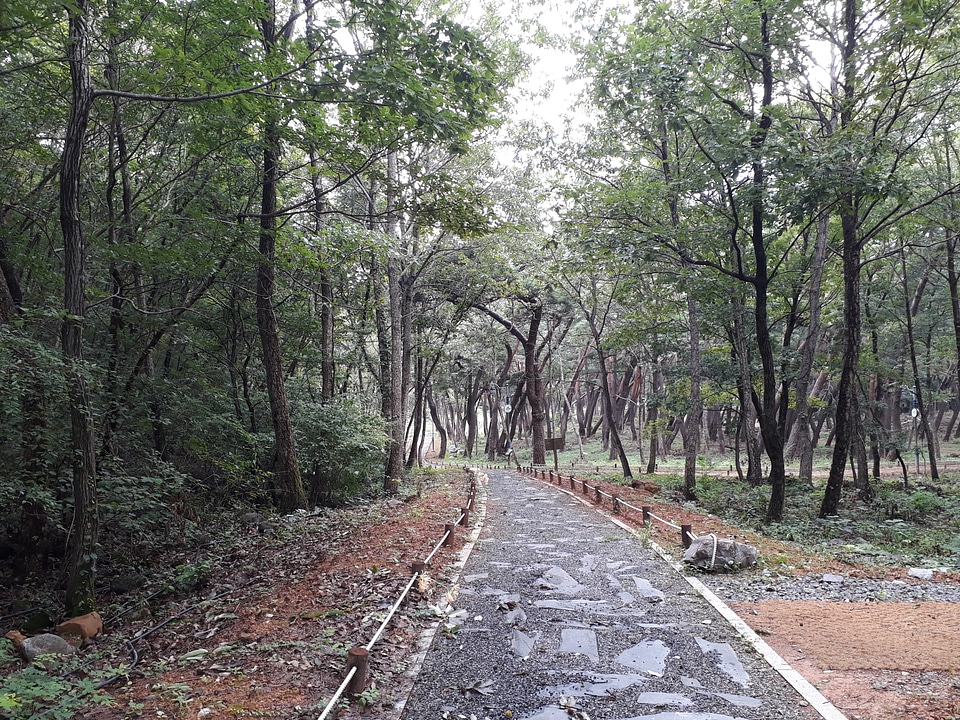 Jaeyaksan mountain in Miryang South Korea