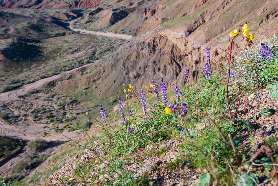 Red Canyon Jeep Road