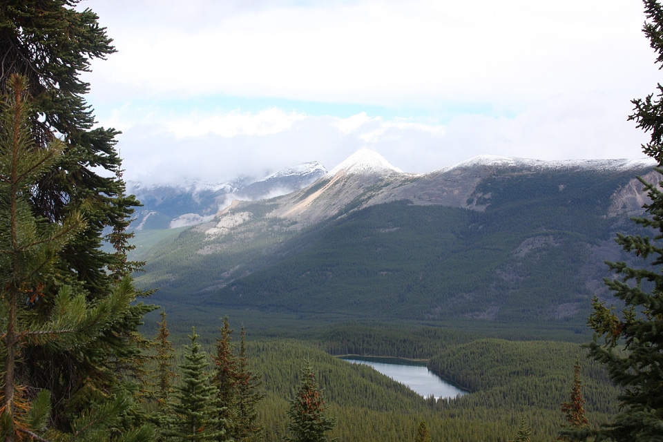 Jasper National Park of Canada Bald Hills