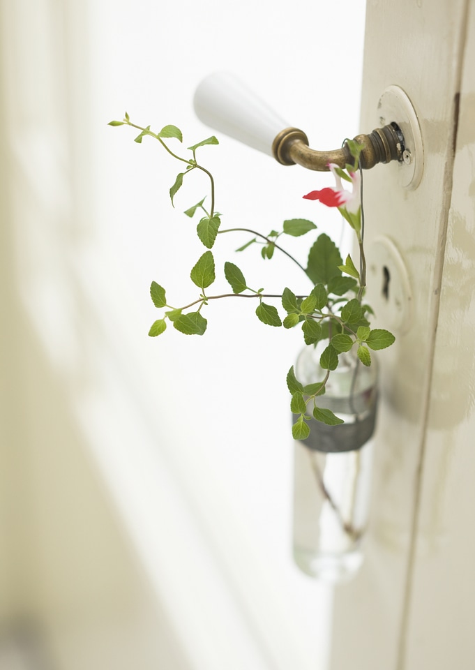 Ivy pot and door