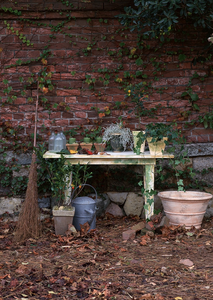 A small plant pot displayed in yard
