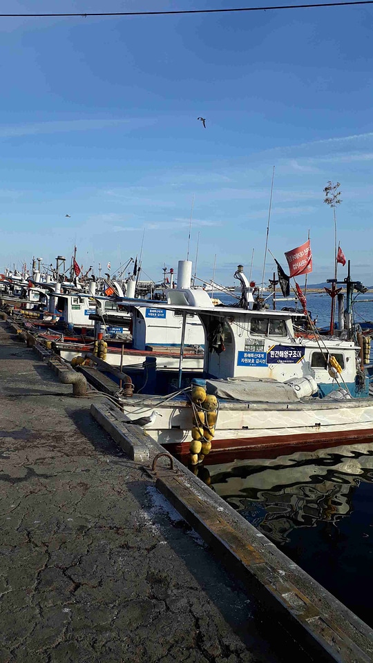 Hoopo Harbor in South Korea
