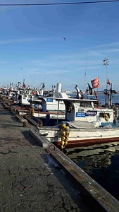 Hoopo Harbor in South Korea