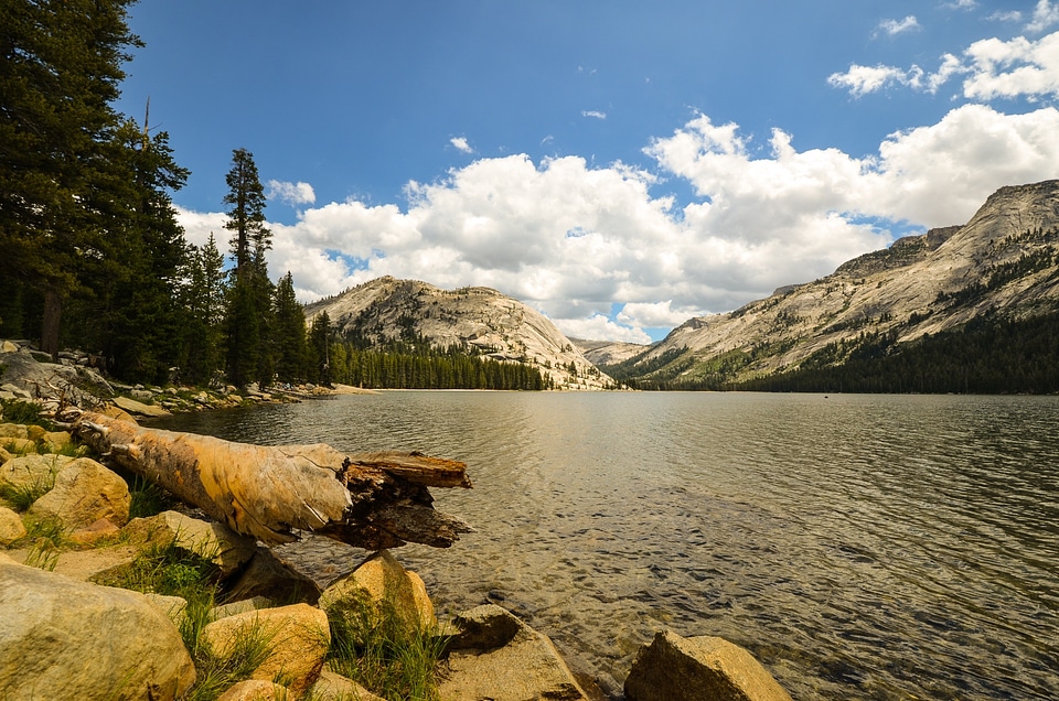 Yosemite National Park
