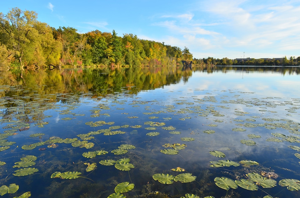 Eaton Hall Lake in Canada photo