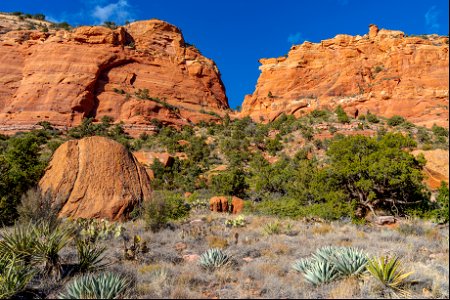 Mitten Ridge (Cow Pies and Hangover Trails)