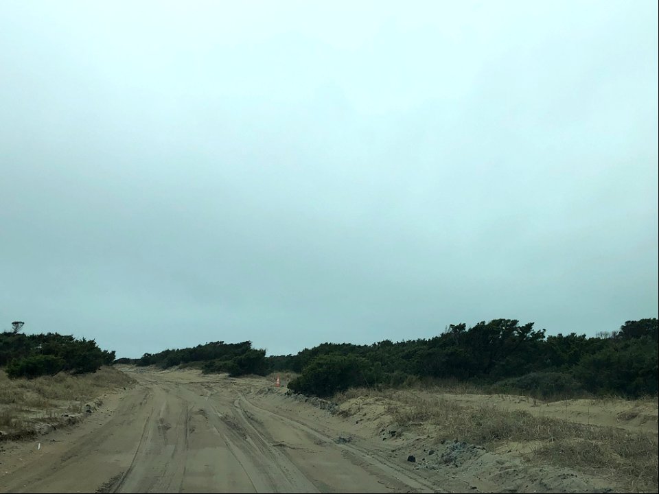Pole Road minus the poles 03-24-2020
