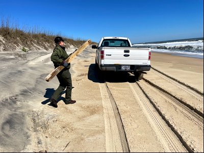 National Park Service employee carries debris to back up pickup truck.