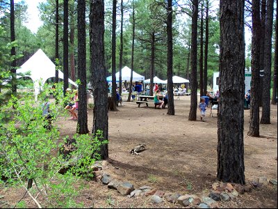 Arboretum at Flagstaff Penstemon Festival