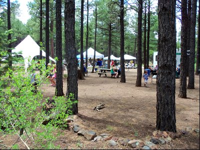 Arboretum at Flagstaff Penstemon Festival photo