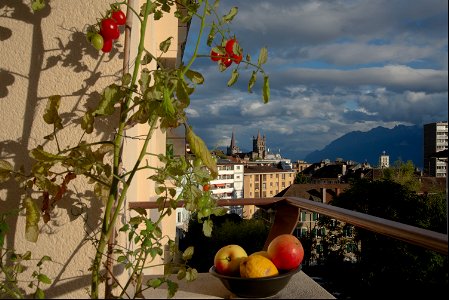 Lausanne - Free Stock Photos | Creazilla