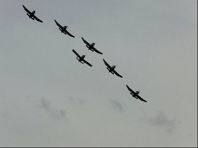 Victor Romeo Formation?