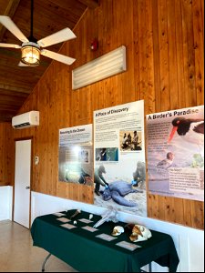 Ocracoke Discovery Center progress photo June 2021