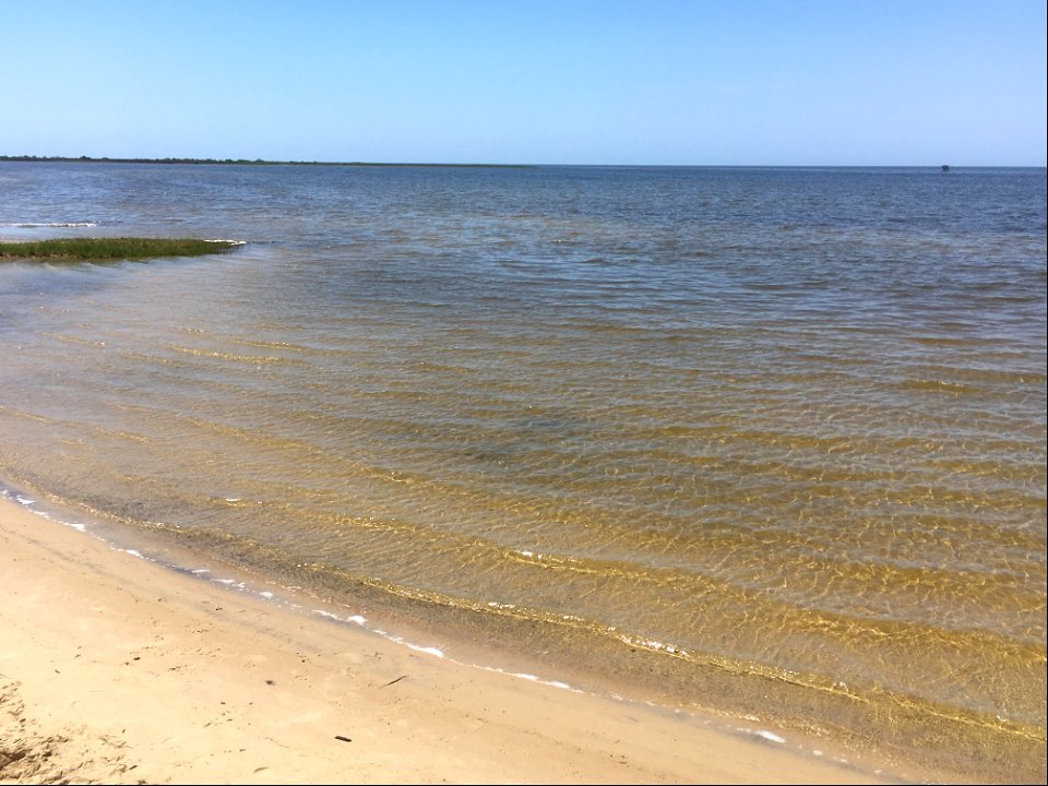 Salvo Sound Access water view