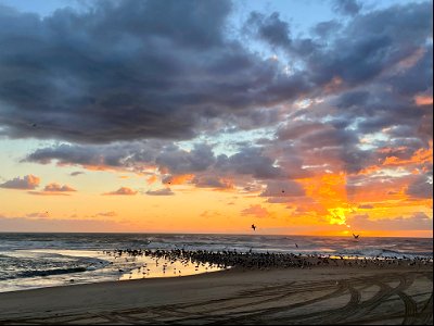Sunrise at Cape Point with no ORVs, just birds