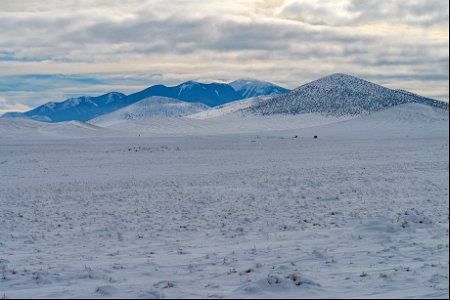 Winter in the Cinder Hills