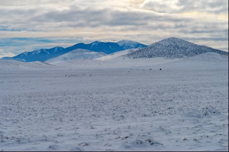 Winter in the Cinder Hills photo