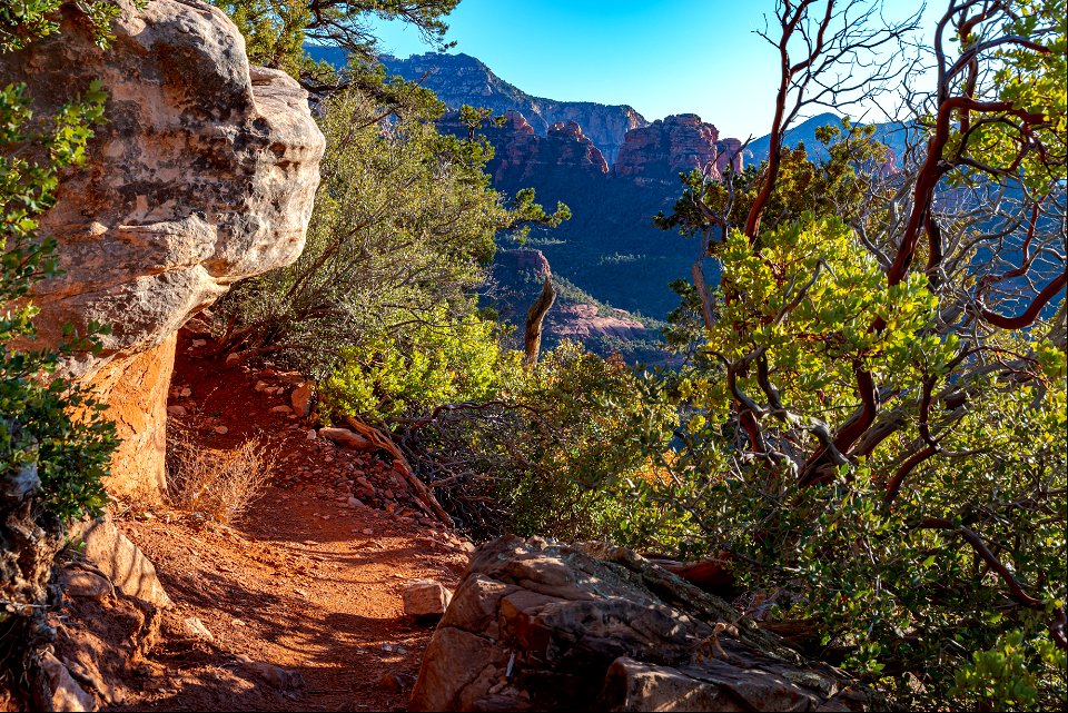 Mitten Ridge (Cow Pies and Hangover Trails)
