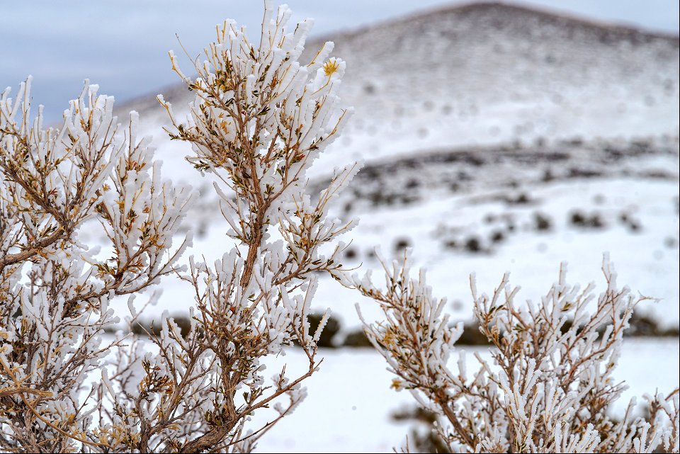 Winter in the Cinder Hills