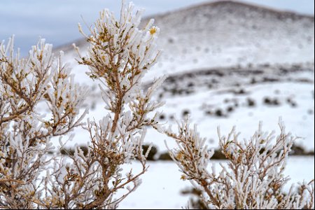 Winter in the Cinder Hills photo