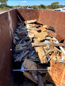 First loads of debris in dumpster. photo