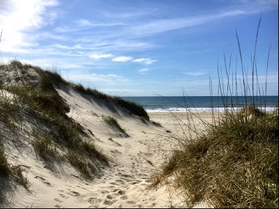 Path from Ocracoke Campground to Beach