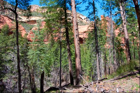 Secret Canyon Trail