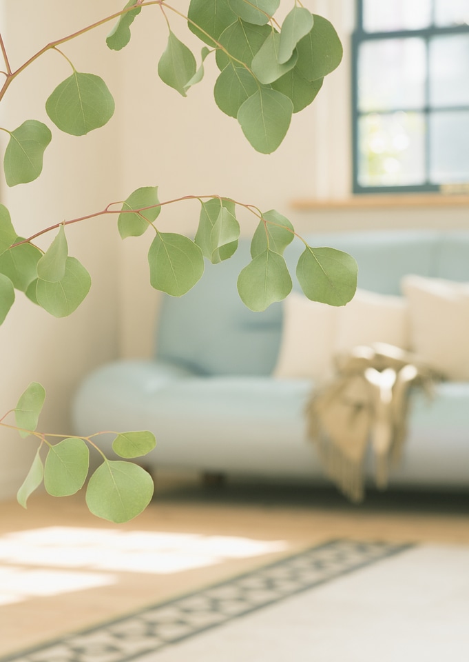Interior of living room with light blue sofa