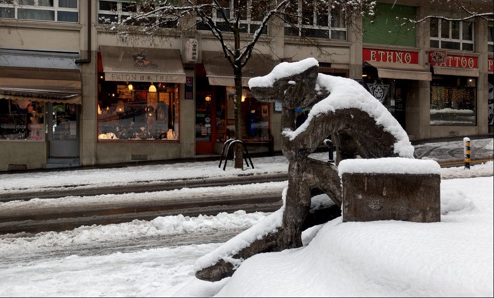 Lausanne enneigée