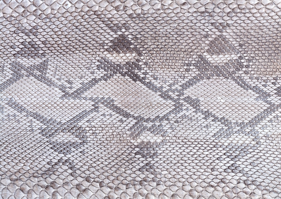 background of sneak skin texture