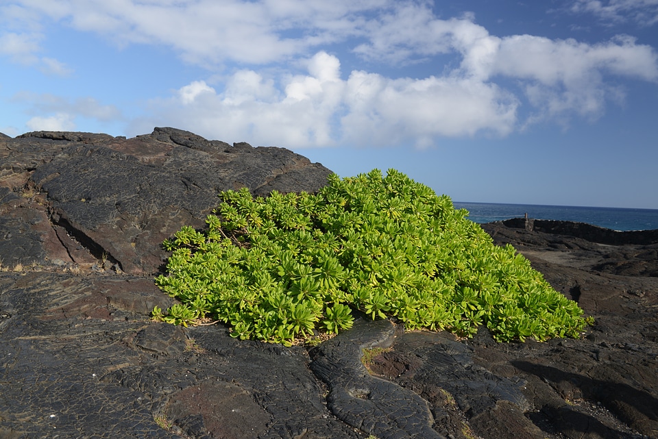 Hawaii Volcanoes National Park