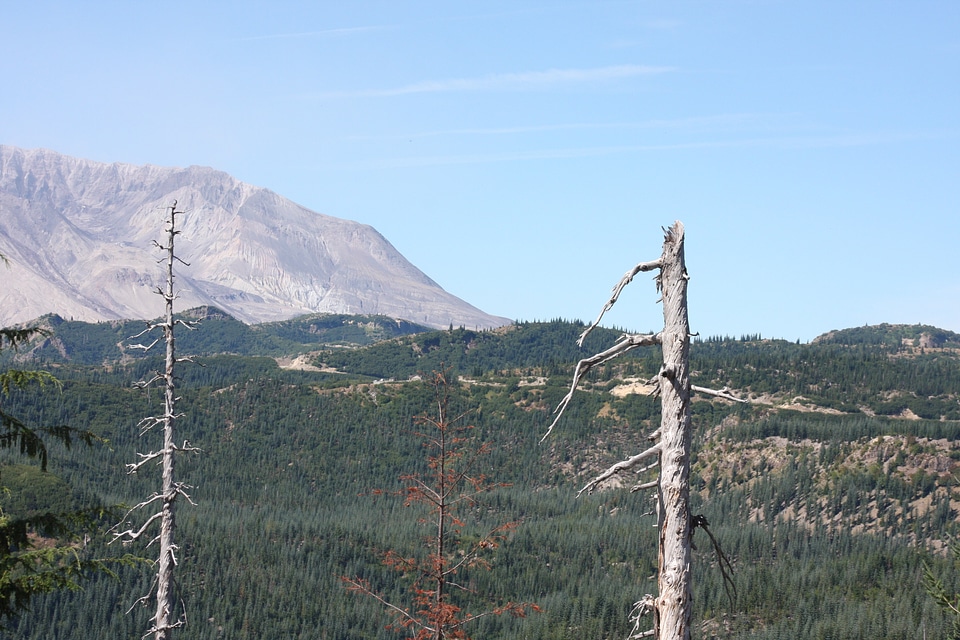 A beautiful View of Mount Saint Helens