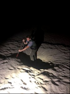 Ranger filling in beach hole at night photo