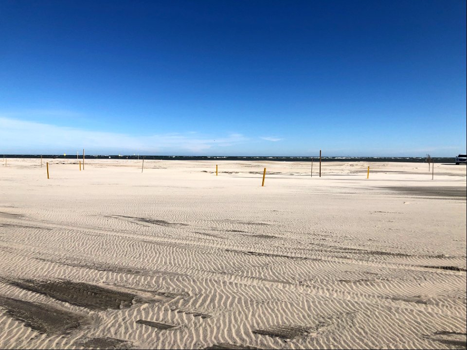 Ocean Pursuit removal progress 11-15-2021