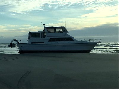 Vivens Aqua 01-28-2022